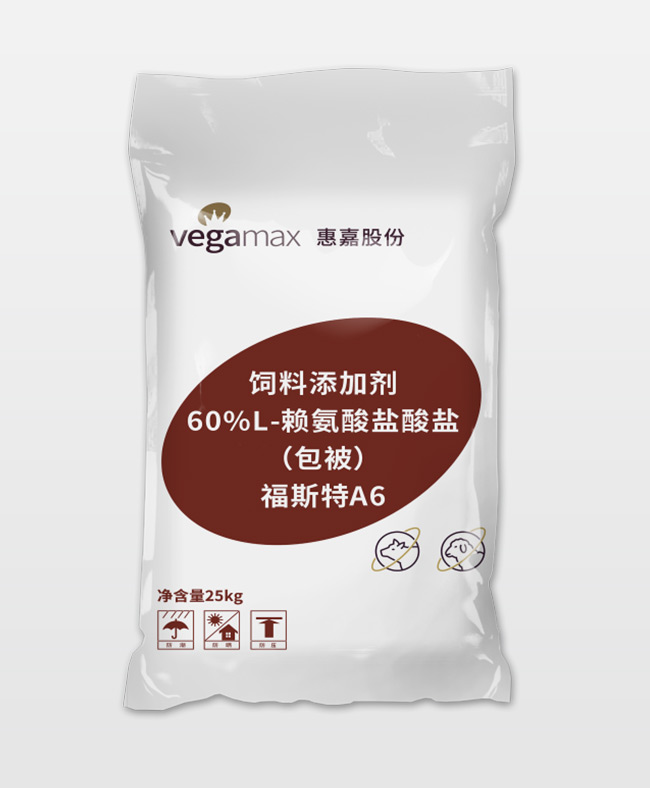 福斯特A6	